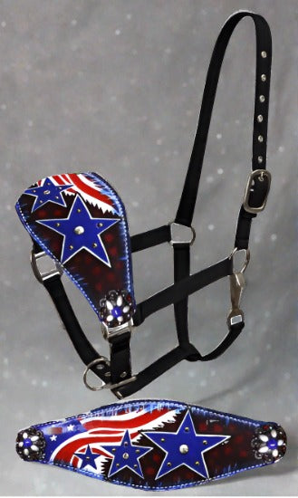 Custom Bronc Halter Style, Your Horses Name, Your Brand, Award. G&E  Leather